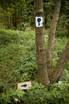 Expedice Ralsko - skupina instalace