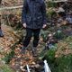 Podzimní výjezd do Jizerských hor 103