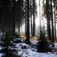Podzimní výjezd do Jizerských hor 2017 90