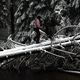 Muhu - trek 6